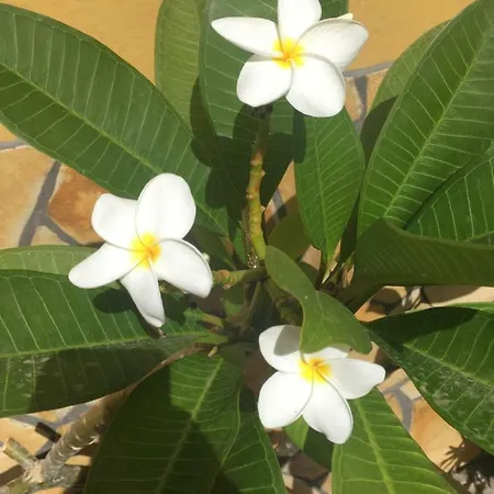 San Jose דירה חוף ואיה גראן ריי
